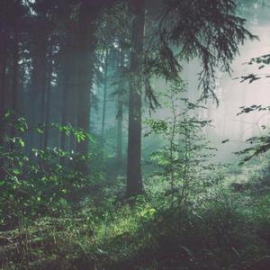 性欧美18ⅩⅩ❌❌❌车里
